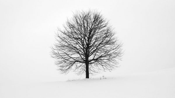 At the gateway to 2023